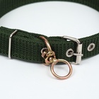 Ошейник, двухслойный, с вертлюгом, ширина 3 см, зелёный - Фото 4