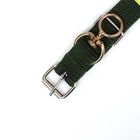 Ошейник, двухслойный, с вертлюгом, ширина 3 см, зелёный - Фото 5