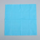 Салфетки бумажные, однотонные, 33х33 см, набор 20 шт., цвет голубой - Фото 2