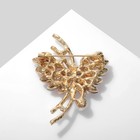 Брошь «Бабочка» с бусиной, цветная в золоте - Фото 2