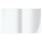 Тетрадь двойная 96 листов в клетку на гребне "Красота природы", обложка мелованный картон, блок офсет, МИКС (комплект 2 шт) - фото 22391635