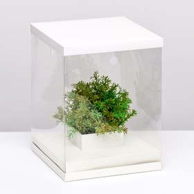 Коробка для цветов с вазой и PVC окнами, складная, 23 х 30 х 23 см, белый