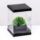 Коробка для цветов с вазой и PVC окнами, складная, 16 х 23 х 16 см, чёрный - фото 282509672