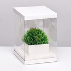 Коробка для цветов с вазой и PVC окнами, складная, 16 х 23 х 16 см, белый - фото 4355844