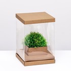 Коробка для цветов с вазой и PVC окнами, складная, 16 х 23 х 16 см, крафт - фото 10679014