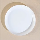 Набор тарелок обеденных Luminarc DIWALI PRECIOUS, d=25 см, стеклокерамика, 6 шт, цвет белый - фото 4385655