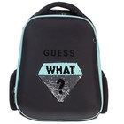 Рюкзак каркасный 38 х 29 х 16 см, Hatber Ergonomic light, What? чёрный/бирюзовый NRk_85001 - фото 22638913