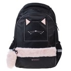 Рюкзак молодёжный, 40 х 26 х 19 см, эргономичная спинка, Hatber Street "Мур-Мяу" чёрный NRk_90100 - Фото 3