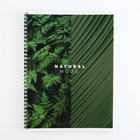 Тетрадь в клетку А4, 120 листов на спирали,  Natural mood, обложка мелованный картон 215 г белизна 96% 9461813