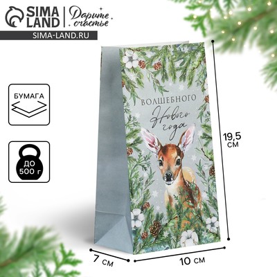 Пакет подарочный без ручек «Волшебного Нового года», 10×19.5×7 см