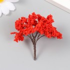 Искусственное растение для творчества пластик "Красный клён" 6х7,3 см - фото 319642912