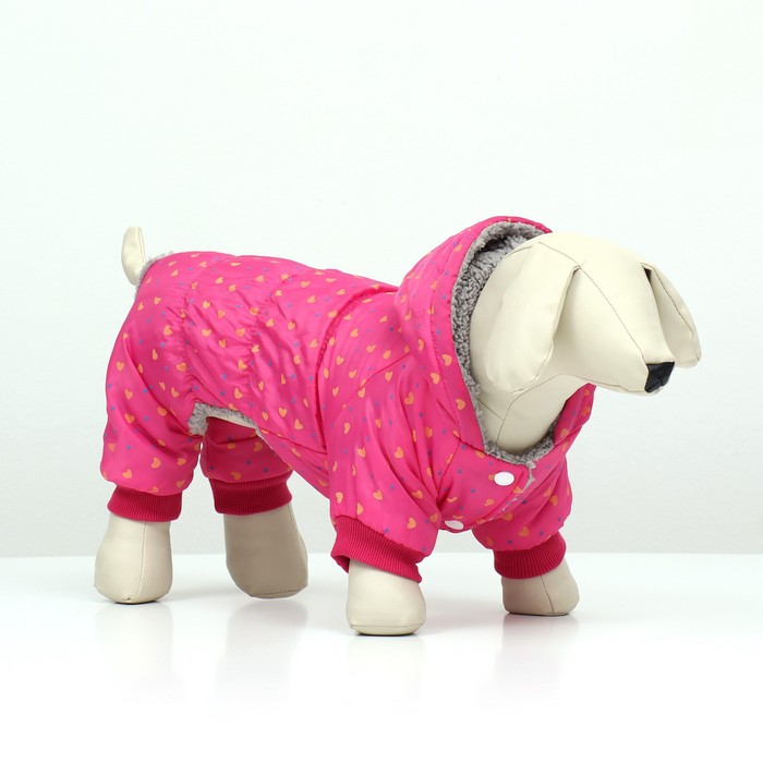 Комбинезон «нежный путь» на меховом подкладе, размер S (ДС 25, ОШ 25, ОГ 35 см), розовый - Фото 1