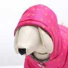 Комбинезон «нежный путь» на меховом подкладе, размер S (ДС 25, ОШ 25, ОГ 35 см), розовый - Фото 7