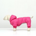 Комбинезон «Нежный путь» на меховом подкладе, M (ДС 30, ОШ 30, ОГ 40 см), розовый - Фото 2