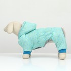 Комбинезон «нежный путь» на меховом подкладе, размер M (ДС 30, ОШ 30, ОГ 40 см), голубой - Фото 2