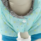 Комбинезон «нежный путь» на меховом подкладе, размер M (ДС 30, ОШ 30, ОГ 40 см), голубой - Фото 8