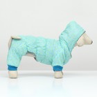 Комбинезон «Нежный путь», на меховом подкладе, размер XL, ДС 40, ОШ 40, ОГ 50 см, голубой - Фото 4