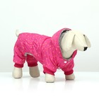 Комбинезон «нежный путь» на меховом подкладе, размер 2XL (ДС 45, ОШ 45, ОГ 55 см), розовый - Фото 1