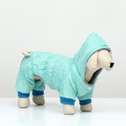 Комбинезон «Нежный путь», на меховом подкладе, размер XXL, ДС 45, ОШ 45, ОГ 55 см, голубой - Фото 3