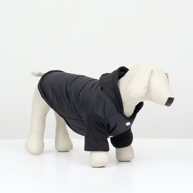 Куртка для собак "Спорт" с капюшоном, размер S (ДС 25, ОГ 35, ОШ 25 см) , чёрная