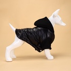 Куртка для собак «Спорт» с капюшоном, размер S, чёрная - Фото 3