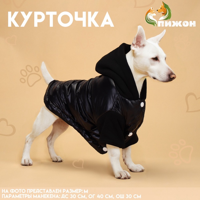 

Куртка для собак "Спорт" с капюшоном, размер M, чёрная