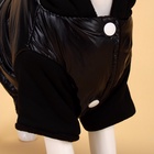 Куртка для собак «Спорт» с капюшоном, размер M, чёрная - Фото 5