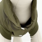 Куртка для собак "Прятки", размер S (ДС 25, ОГ 35, ОШ 25 см) зелёная - Фото 5