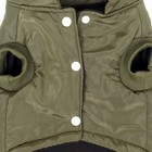 Куртка для собак "Прятки", размер S (ДС 25, ОГ 35, ОШ 25 см) зелёная - Фото 9