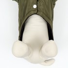 Куртка для собак "Прятки", размер L  (ДС 35, ОГ 45, ОШ 35 см), зелёная - фото 7002726