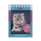 Блокнот А7, 60 листов на гребне На мягких лапках, обложка мелованный картон, блок офсет 65г/м2 - фото 24342300