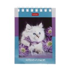 Блокнот А7, 60 листов на гребне На мягких лапках, обложка мелованный картон, блок офсет 65г/м2 - фото 24342301