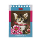 Блокнот А7, 60 листов на гребне На мягких лапках, обложка мелованный картон, блок офсет 65г/м2 - фото 24342302