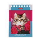 Блокнот А7, 60 листов на гребне На мягких лапках, обложка мелованный картон, блок офсет 65г/м2 - фото 24342303