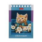 Блокнот А7, 60 листов на гребне На мягких лапках, обложка мелованный картон, блок офсет 65г/м2 - фото 24342304