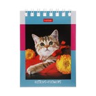 Блокнот А7, 60 листов на гребне На мягких лапках, обложка мелованный картон, блок офсет 65г/м2 - фото 24342305