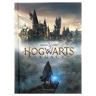 Записная книжка, А6, 48 листов, в клетку, "Hogwarts Legacy. Гарри Поттер", глянцевая ламинация, блок офсет 60г/м2 - фото 8157183