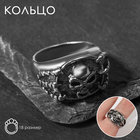 Кольцо «Перстень» череп и когти, цвет чернёное серебро, 18 размер - фото 19836248