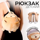 Рюкзак детский плюшевый «Медведь», 22 х 7 х 22 см - Фото 1