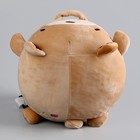 Рюкзак детский плюшевый «Медведь», 22 х 7 х 22 см - Фото 5