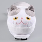 Рюкзак детский плюшевый для девочки «Кот», 30 х 7 х 20 см - фото 4087014