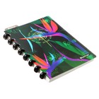 Тетрадь на кольцах A5+ 80л кл Berlingo "Jumble", пласт обл, 700мкм, линейка-заклад 352466 - фото 24342307