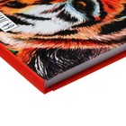 Скетчбук - альбом для творчества 205 х 300 мм, 64 листа "Тигр", твёрдая обложка на резинке, выборочный лак, блок 120 г/м2 - фото 7088611