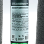 Автошампунь для ручной мойки LAVR Green, 255 мл, концентрат (комплект 2 шт) - фото 25514429