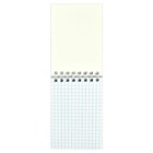 Блокнот А7, 40 листов в клетку, на гребне "Грустный кот", обложка мелованный картон, Уф-лак, блок 65 г/м2 - фото 37935969