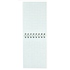 Блокнот А7, 40 листов в клетку, на гребне "Грустный кот", обложка мелованный картон, Уф-лак, блок 65 г/м2 - фото 37935970