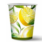 Набор бумажных стаканов «Лимоны», в т/у плёнке, 6 шт., 250 мл - фото 109174270