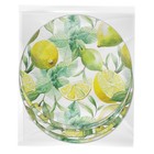 Набор бумажных тарелок «Лимоны», в т/у плёнке, 6 шт., 18 см - фото 7004242