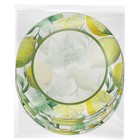 Набор бумажных тарелок «Лимоны», в т/у плёнке, 6 шт., 23 см - фото 7004244