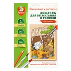 Доска для выжигания и росписи «Австралия» А4, 1 шт. - фото 319646403